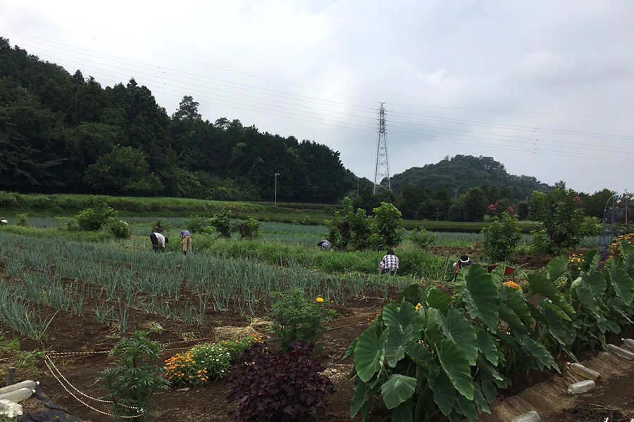 ラック作業風景